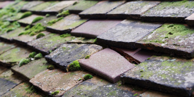 Church Aston roof repair costs